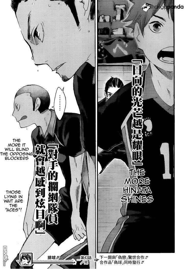 Read Haikyuu!! Manga Online