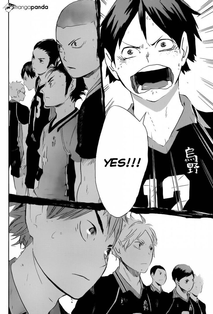 Read Haikyuu!! Manga Online