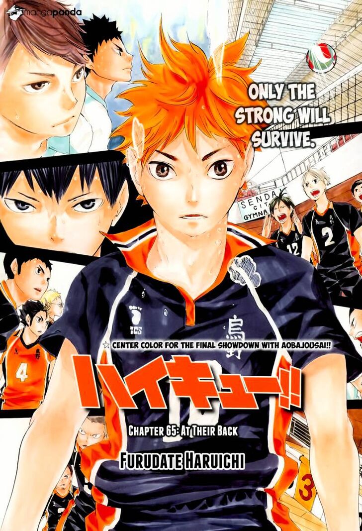Read Haikyuu!! Manga Online