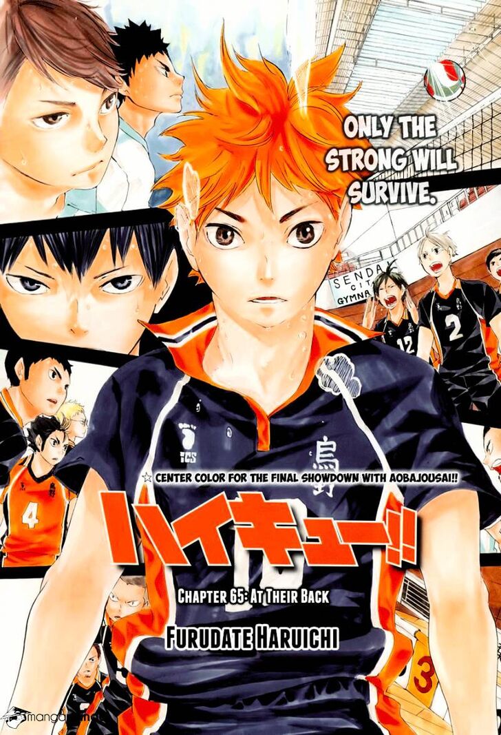 Read Haikyuu!! Manga Online