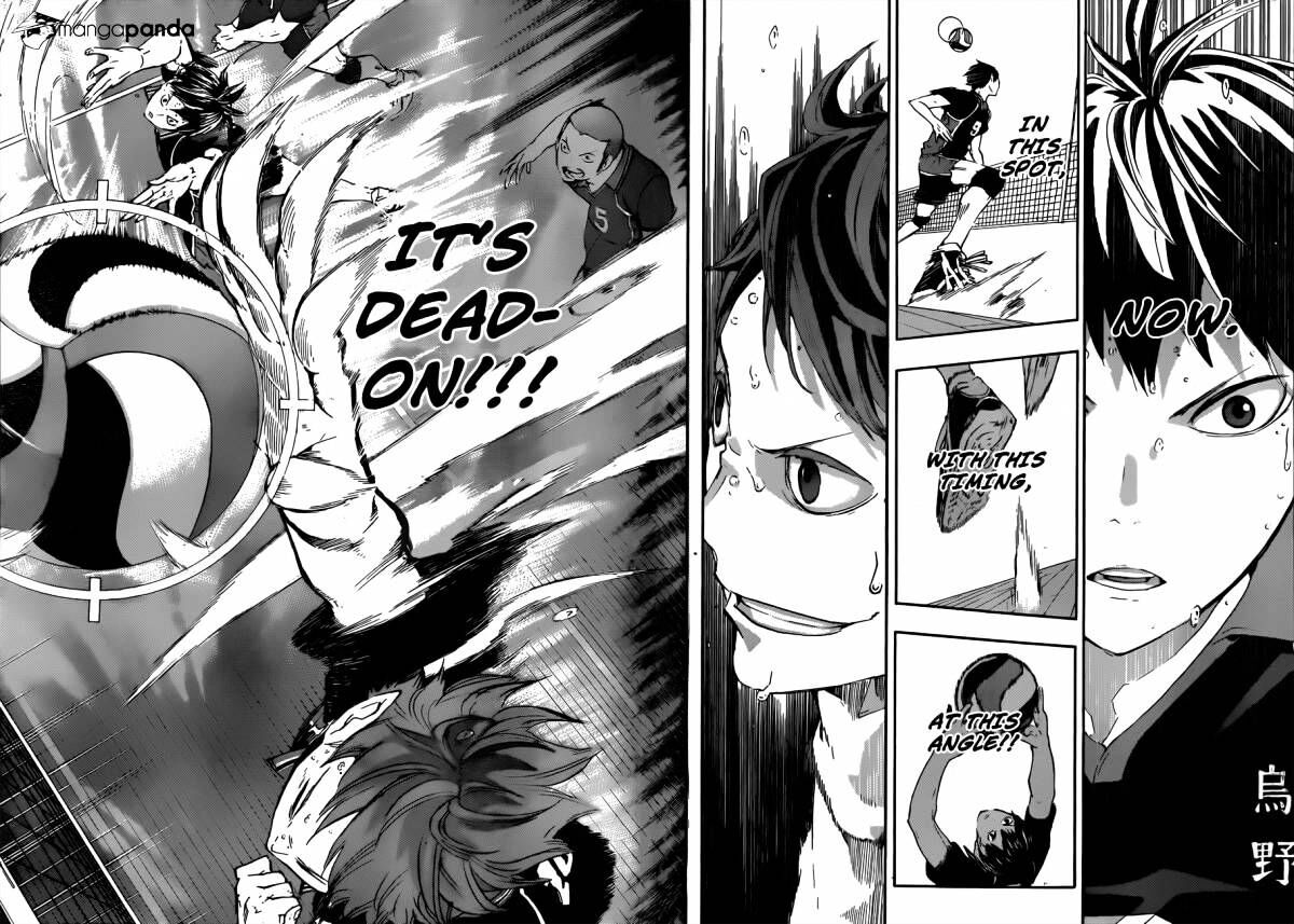 Read Haikyuu!! Manga Online