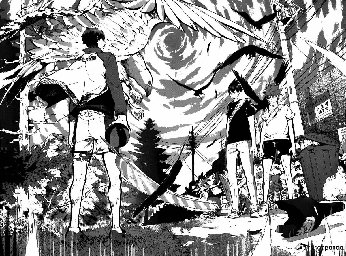 Read Haikyuu!! Manga Online