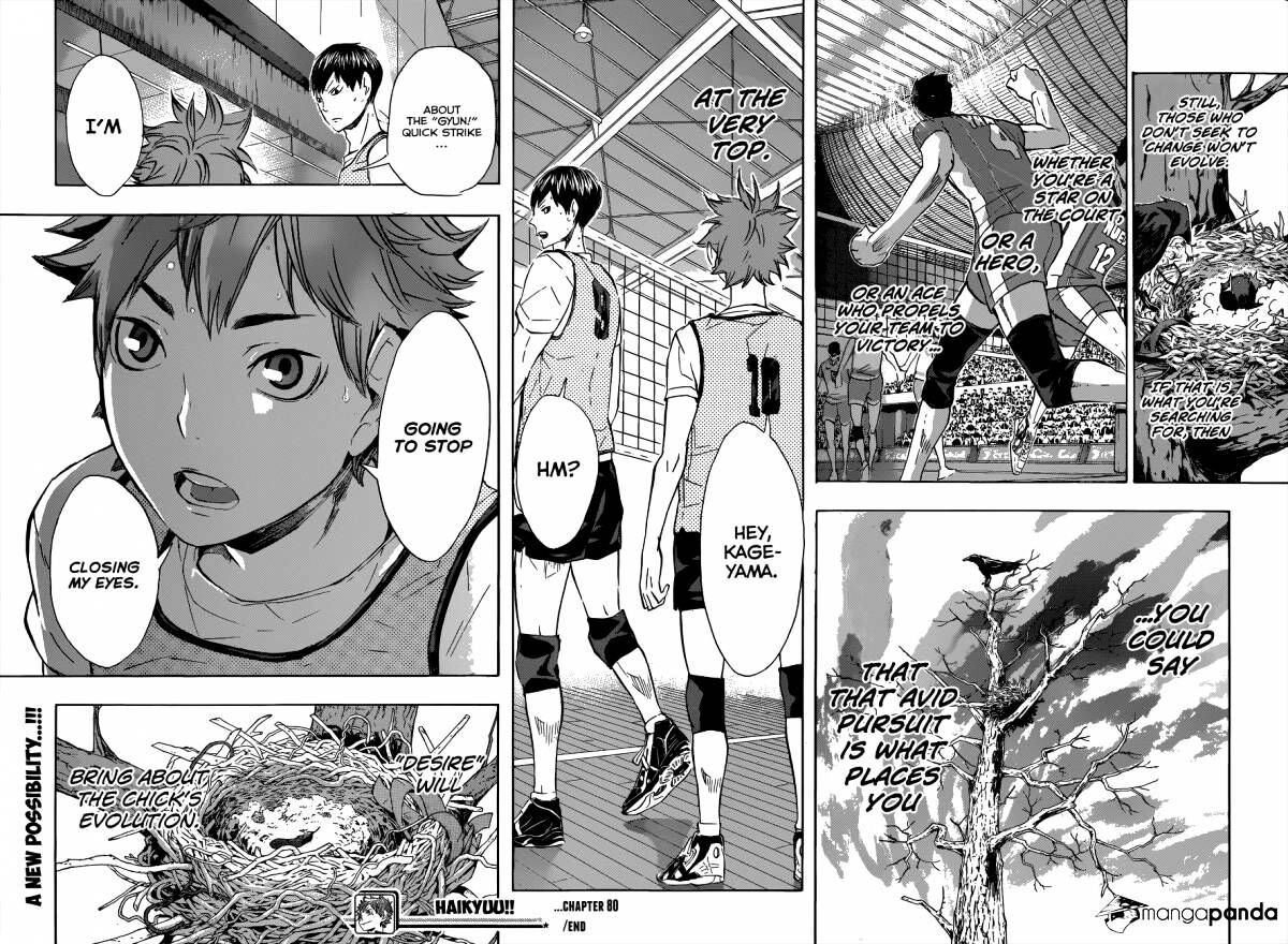 Read Haikyuu!! Manga Online