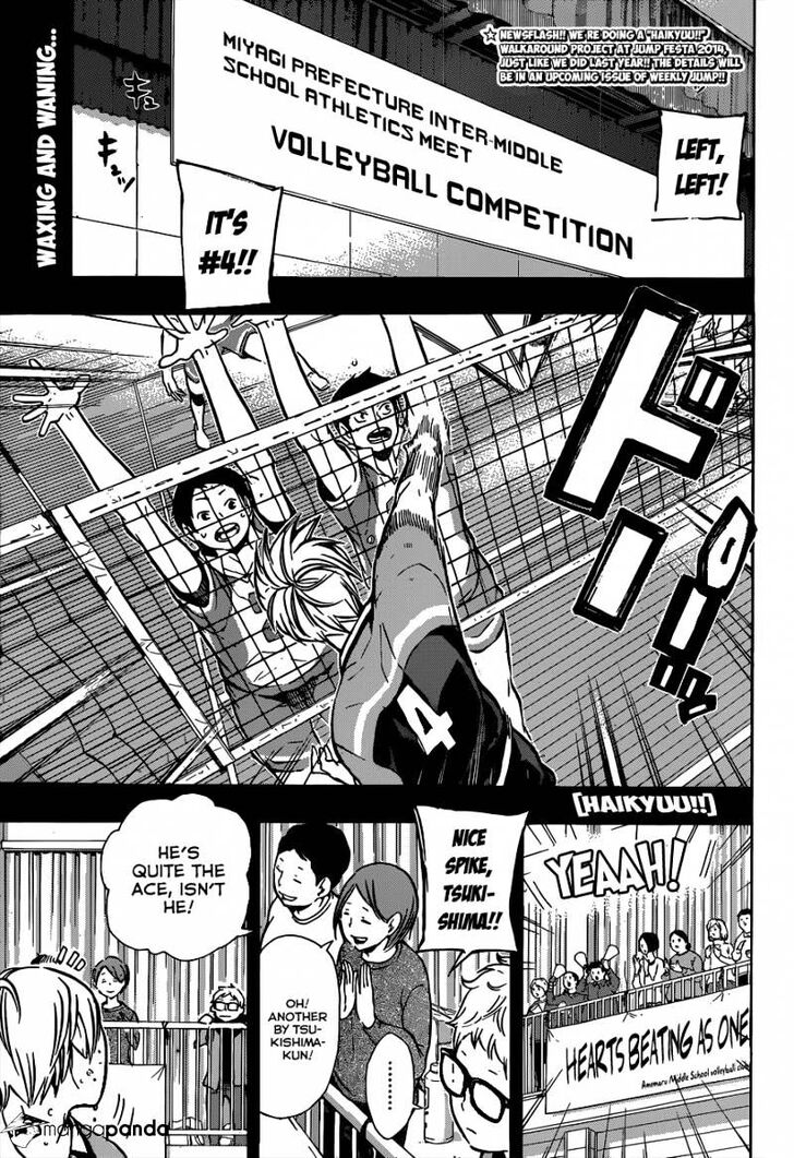 Read Haikyuu!! Manga Online