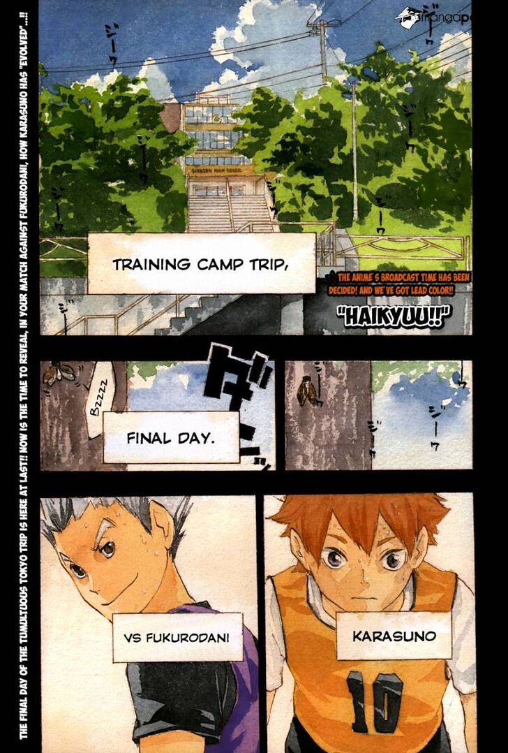 Read Haikyuu!! Manga Online