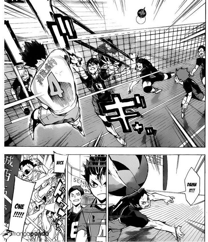 Read Haikyuu!! Manga Online