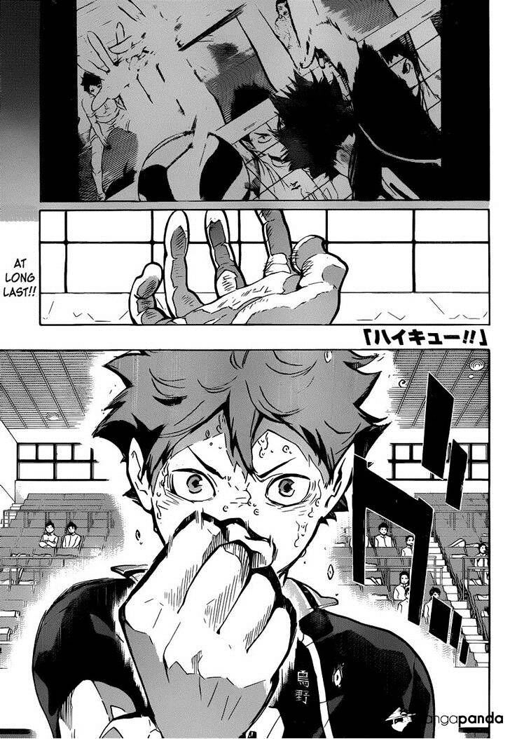 Read Haikyuu!! Manga Online
