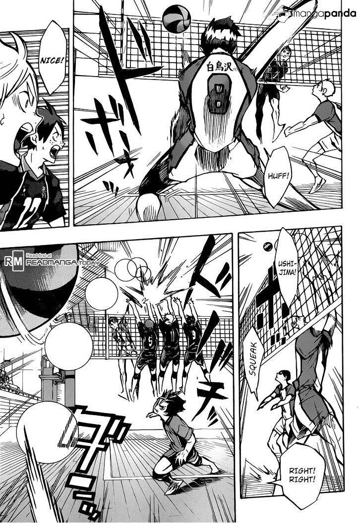 Read Haikyuu!! Manga Online