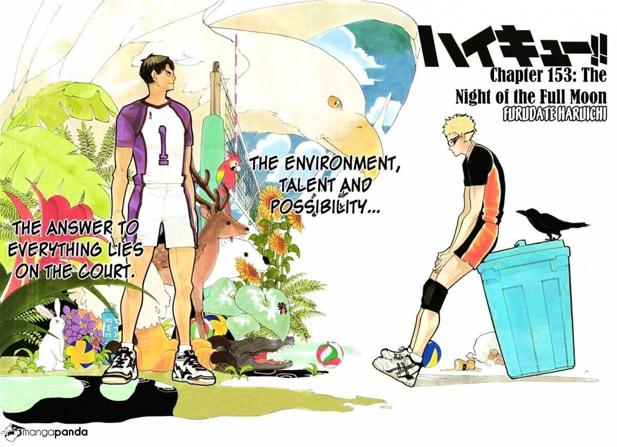 Read Haikyuu!! Manga Online