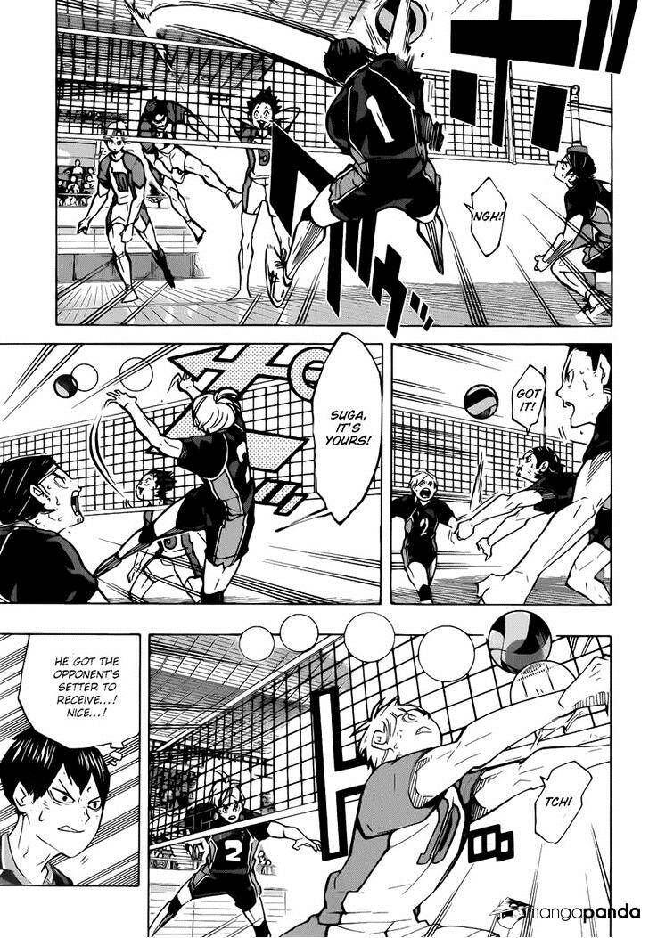 Read Haikyuu!! Manga Online