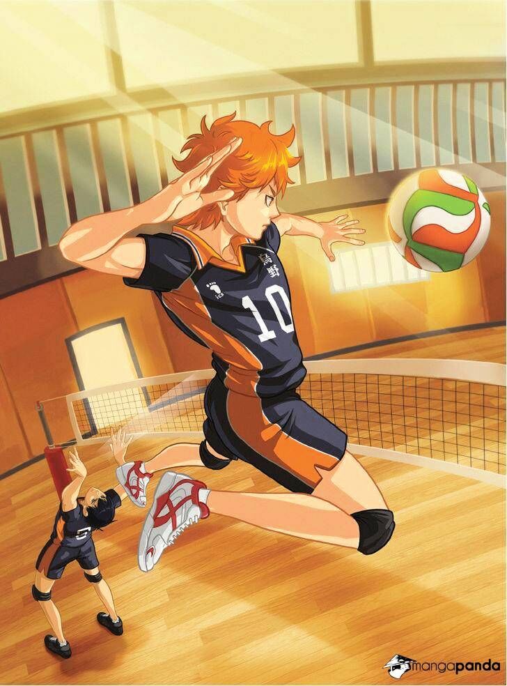 Read Haikyuu!! Manga Online