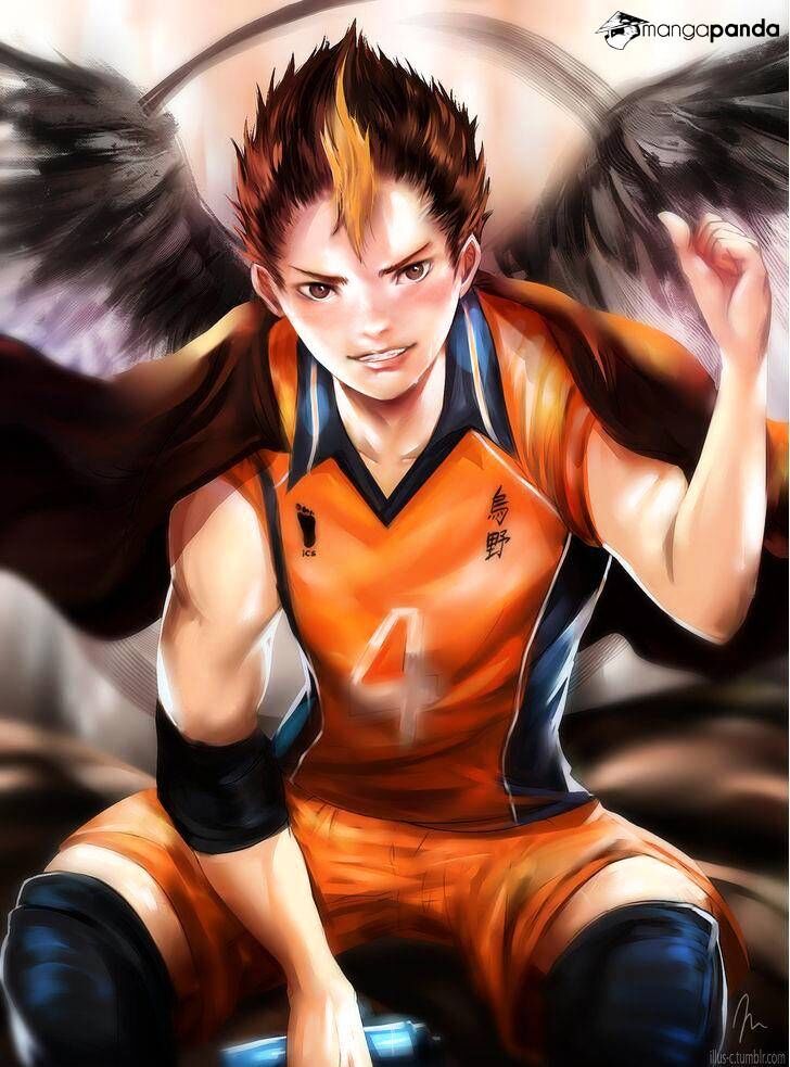 Read Haikyuu!! Manga Online
