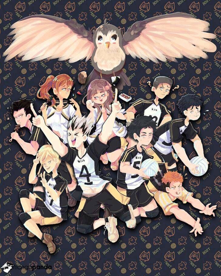 Read Haikyuu!! Manga Online