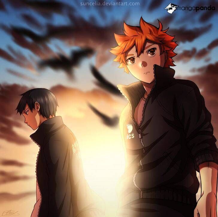 Read Haikyuu!! Manga Online