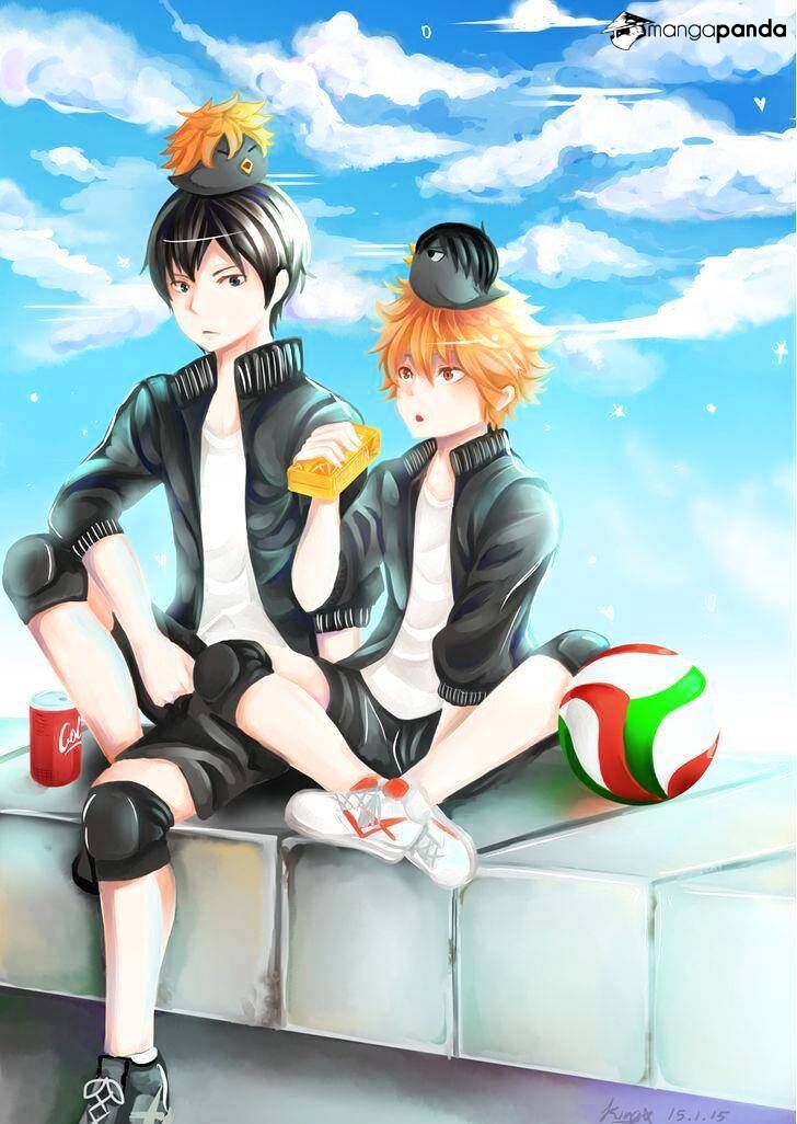 Read Haikyuu!! Manga Online