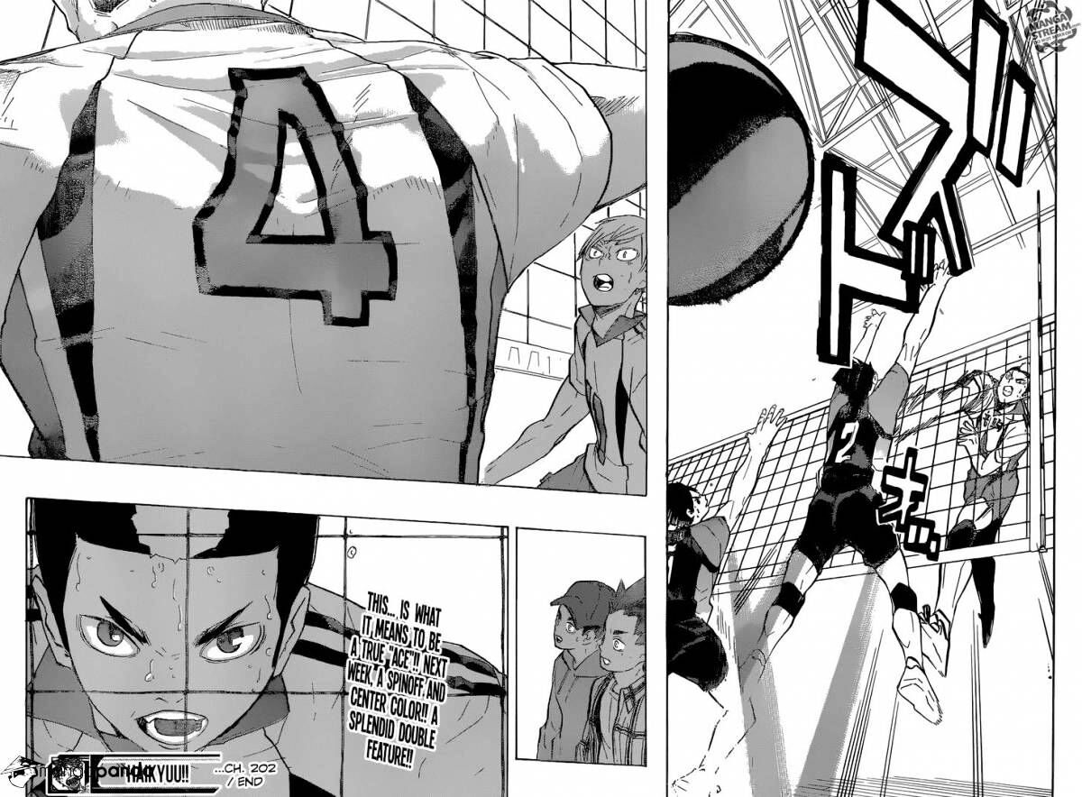 Read Haikyuu!! Manga Online