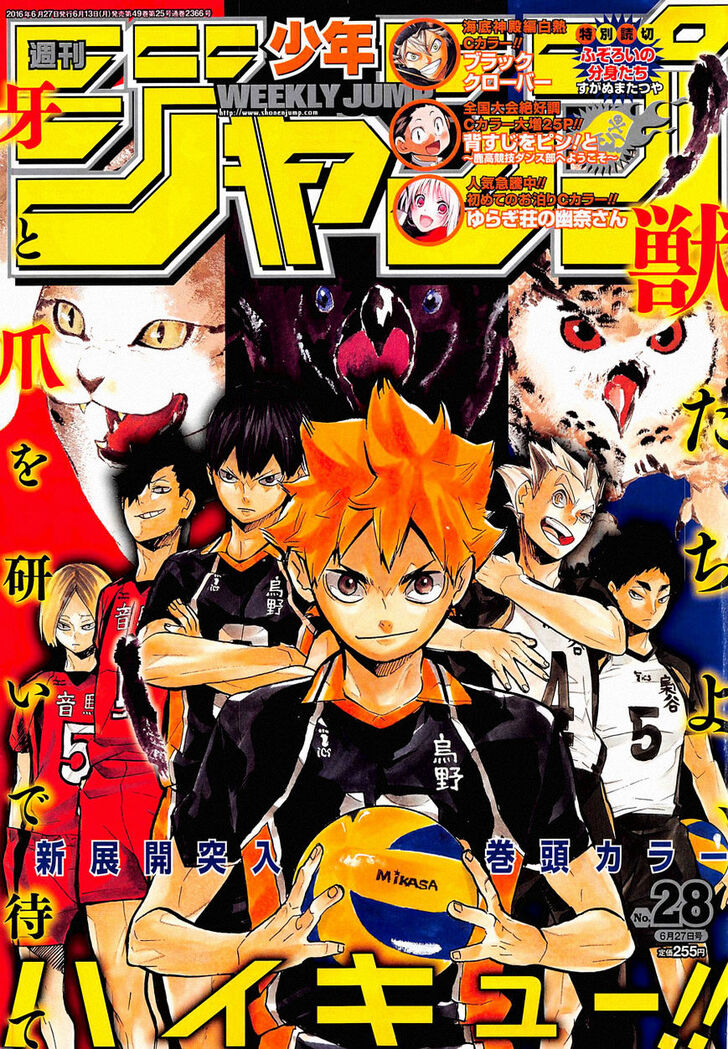 Read Haikyuu!! Manga Online