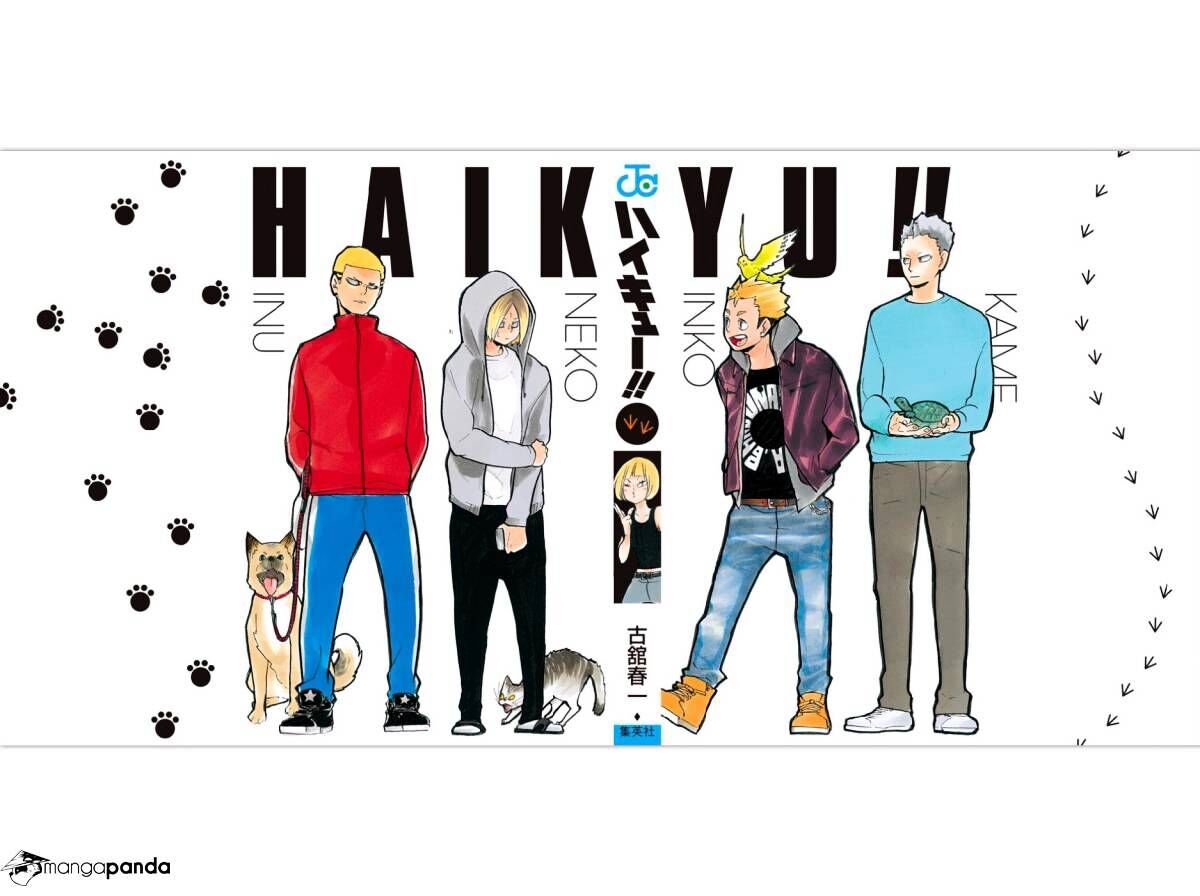 Read Haikyuu!! Manga Online