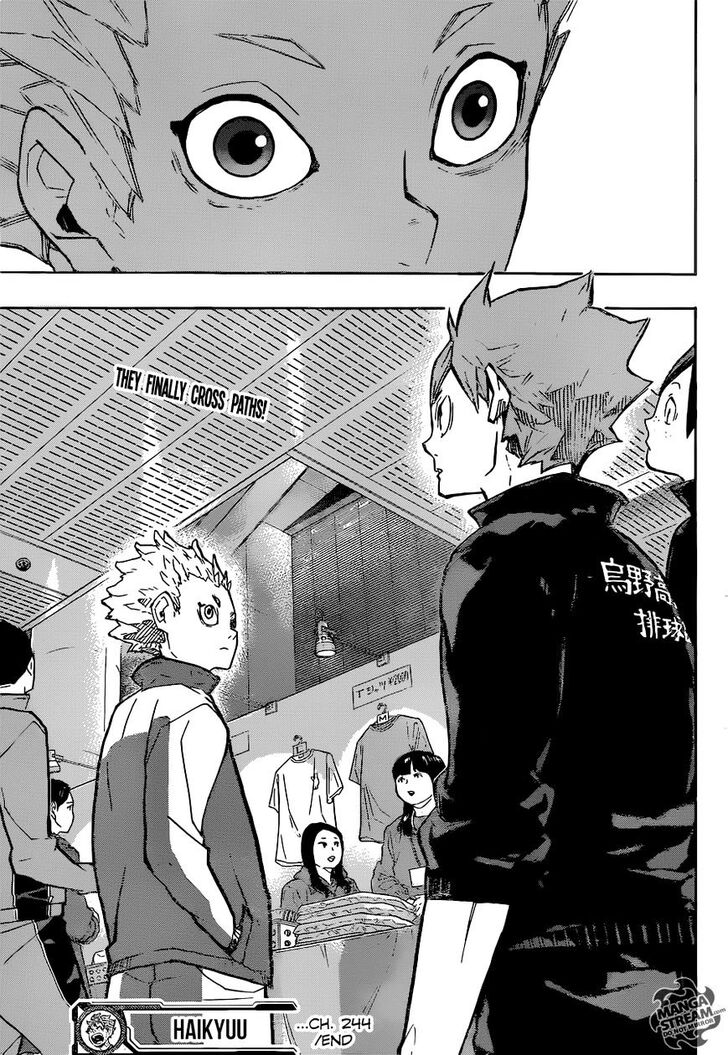 Read Haikyuu!! Manga Online