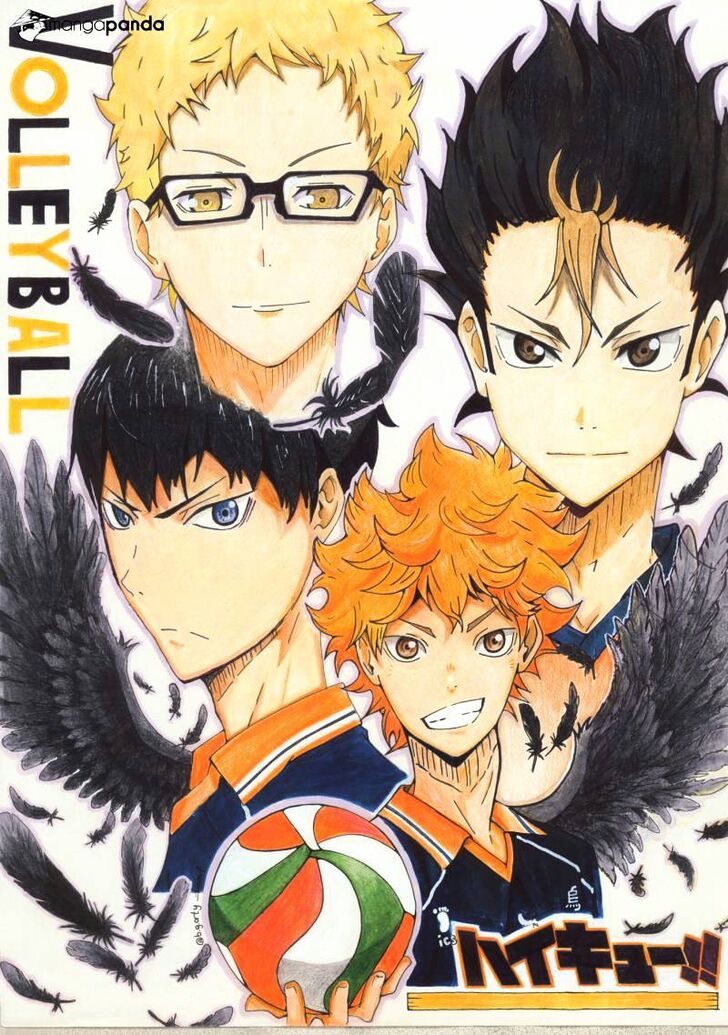 Read Haikyuu!! Manga Online
