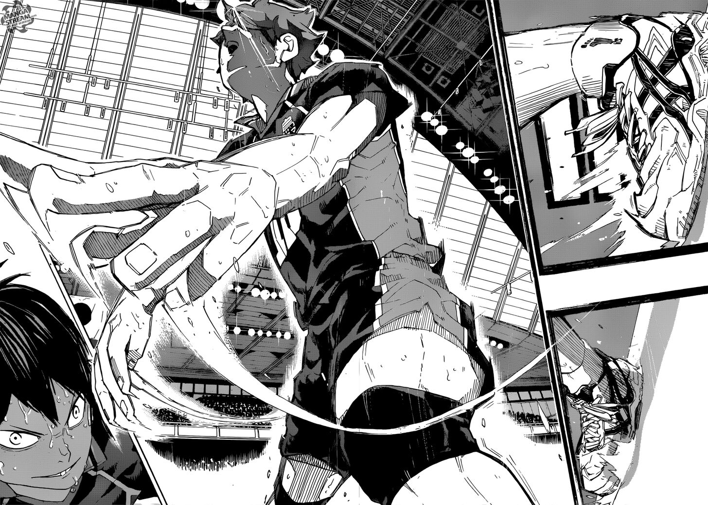 Read Haikyuu!! Manga Online