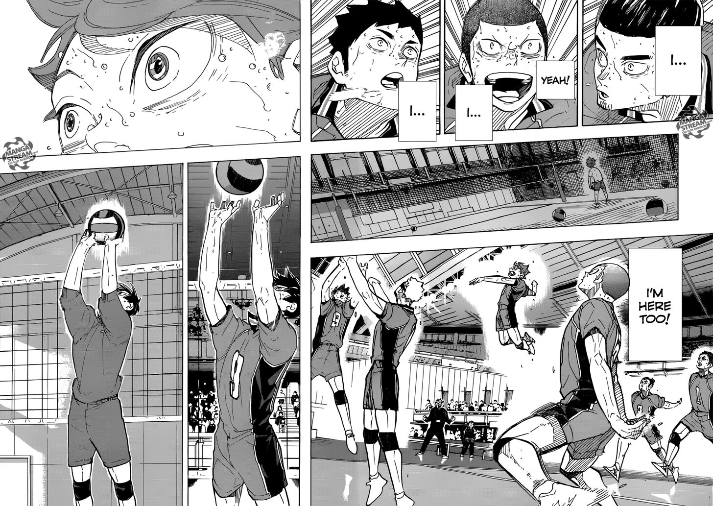 Read Haikyuu!! Manga Online