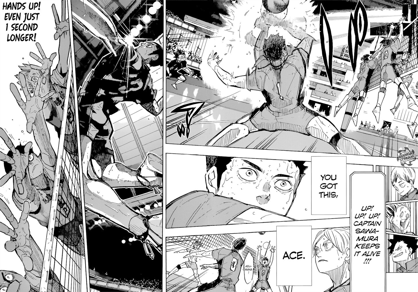 Read Haikyuu!! Manga Online