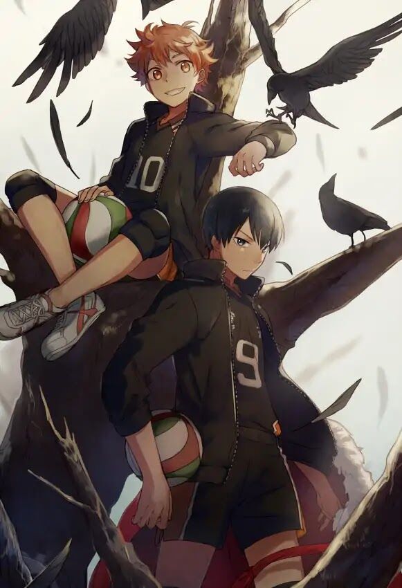 Read Haikyuu!! Manga Online