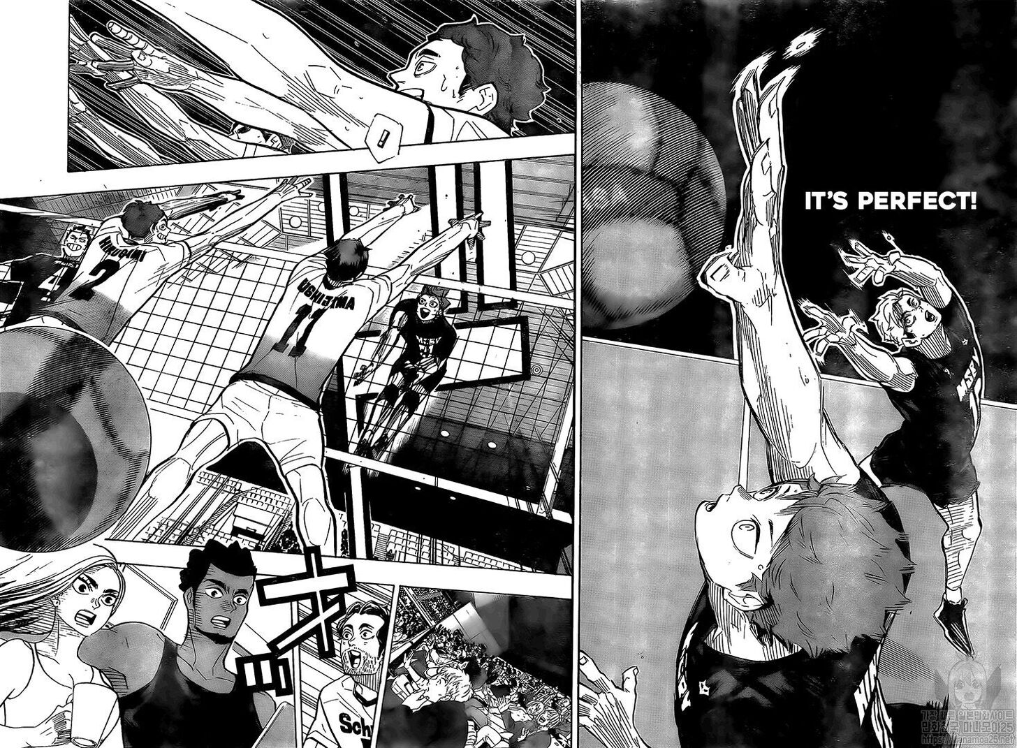 Read Haikyuu!! Manga Online