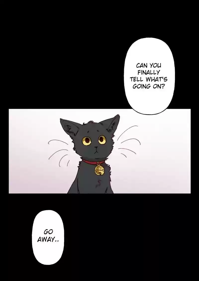 Read LUMINE Manga Online