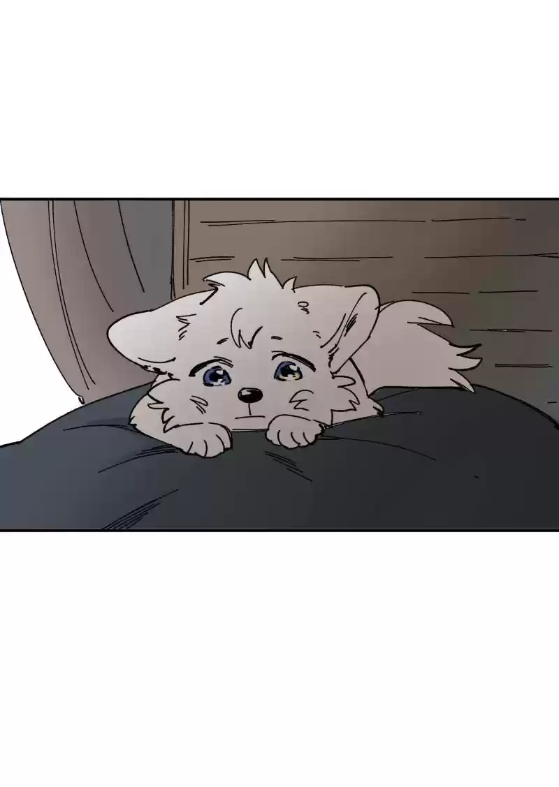 Read LUMINE Manga Online