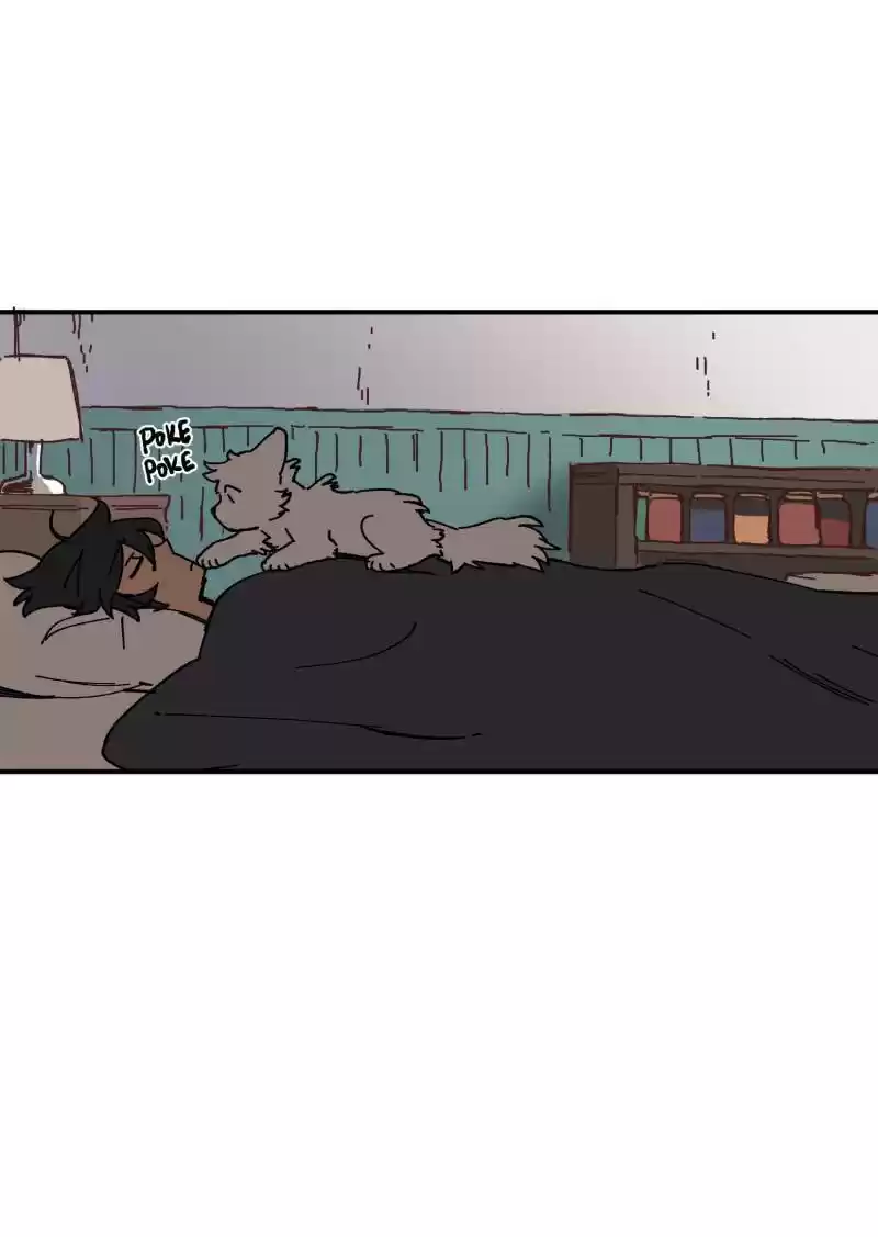 Read LUMINE Manga Online
