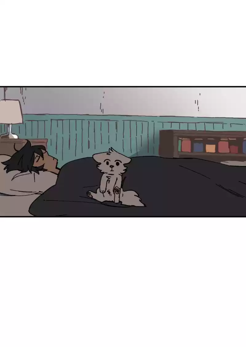 Read LUMINE Manga Online