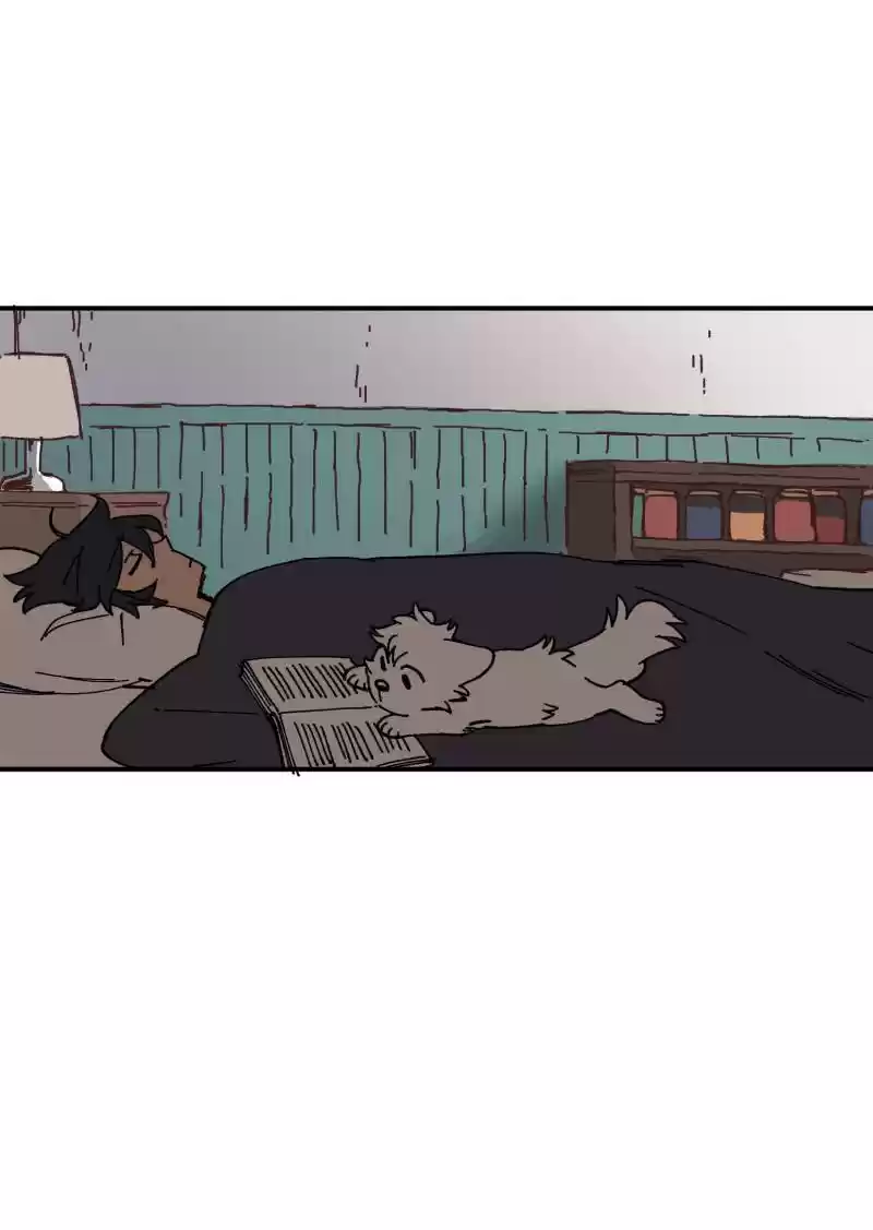 Read LUMINE Manga Online