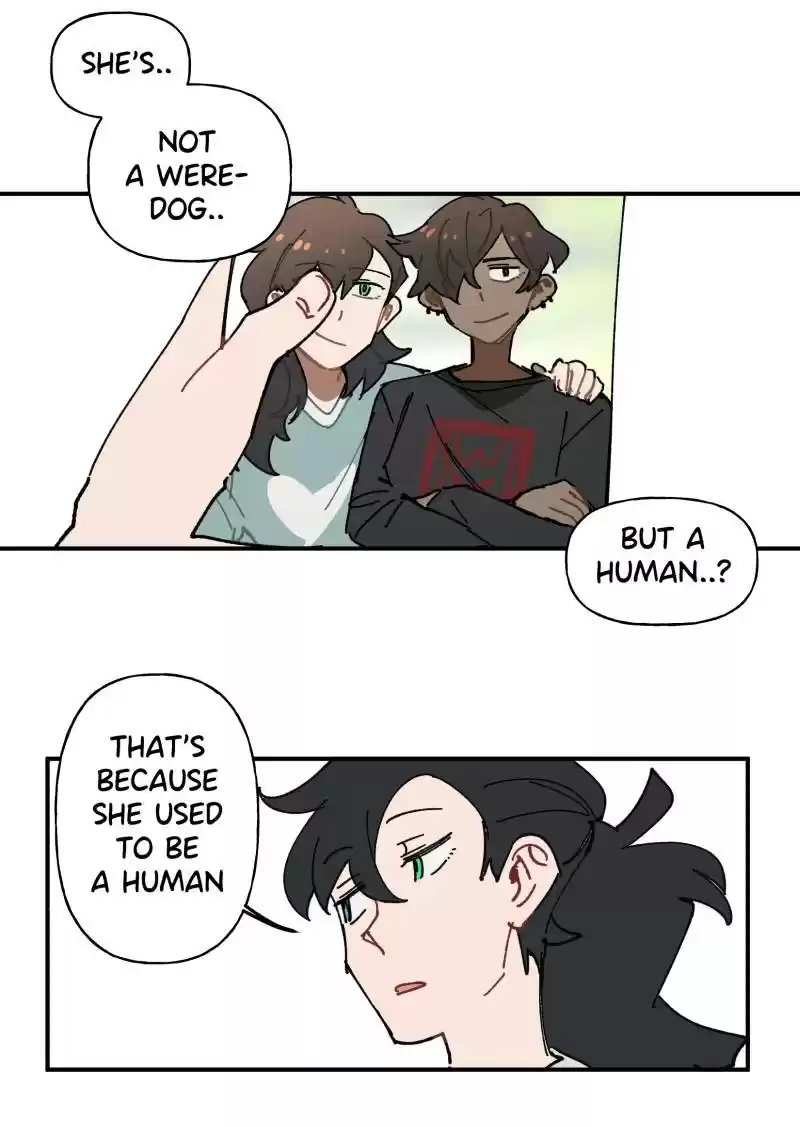 Read LUMINE Manga Online