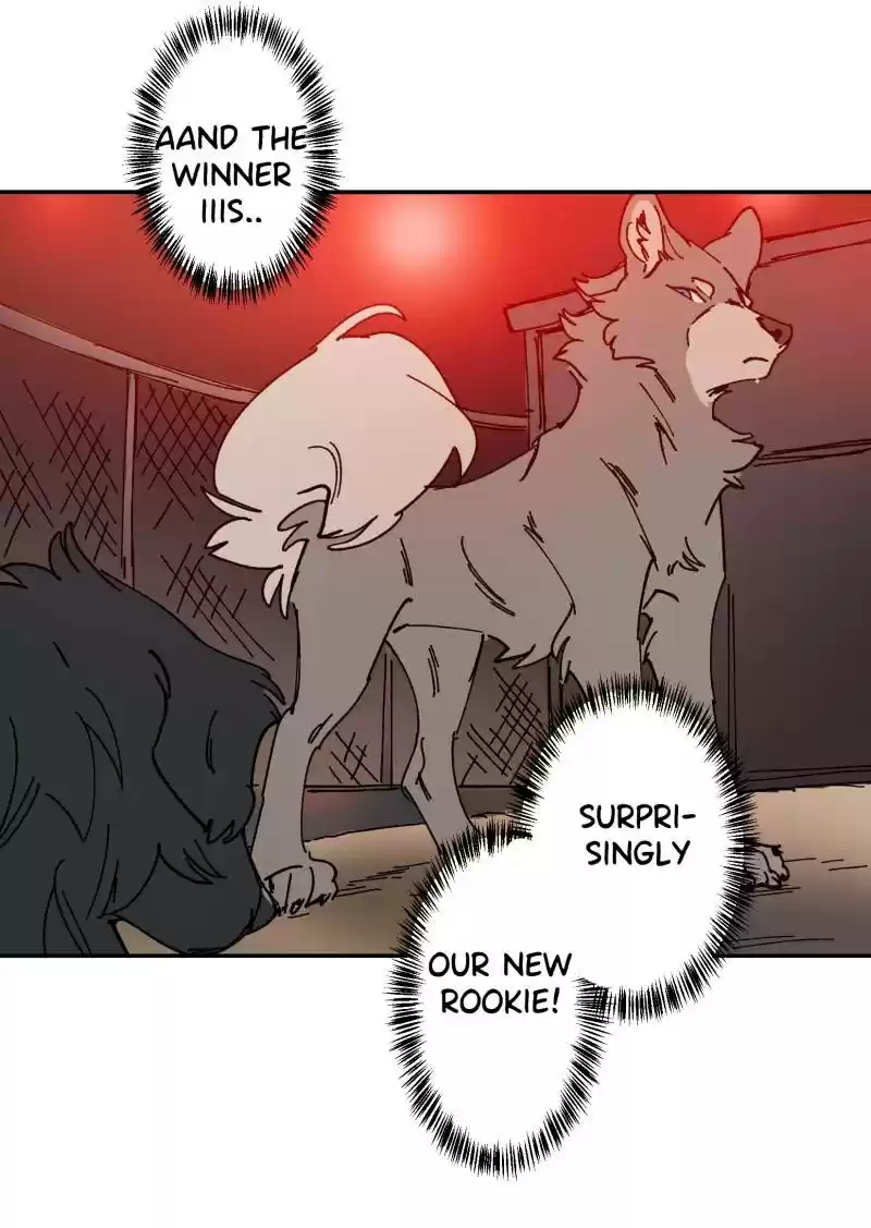 Read LUMINE Manga Online