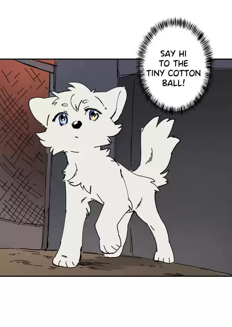 Read LUMINE Manga Online
