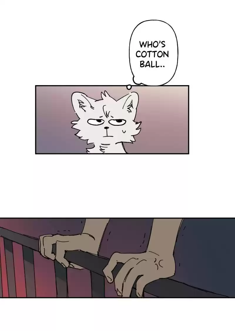 Read LUMINE Manga Online