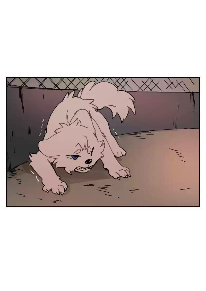 Read LUMINE Manga Online