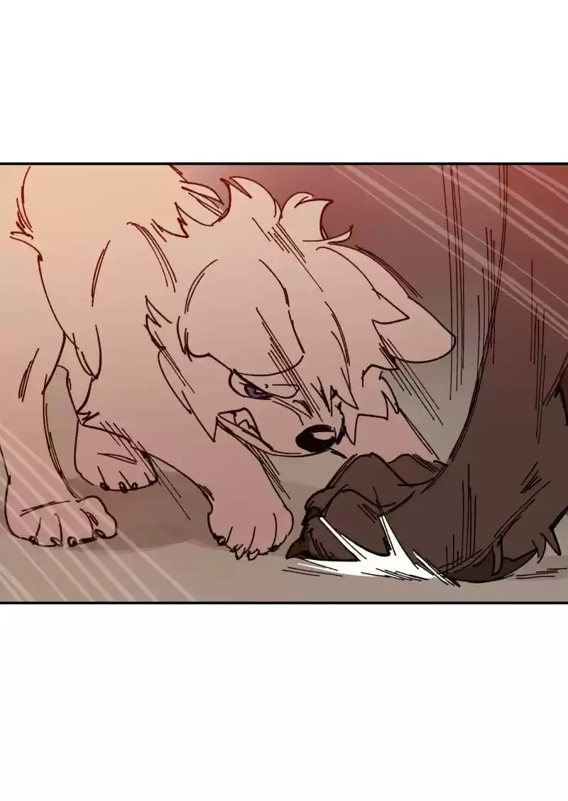 Read LUMINE Manga Online