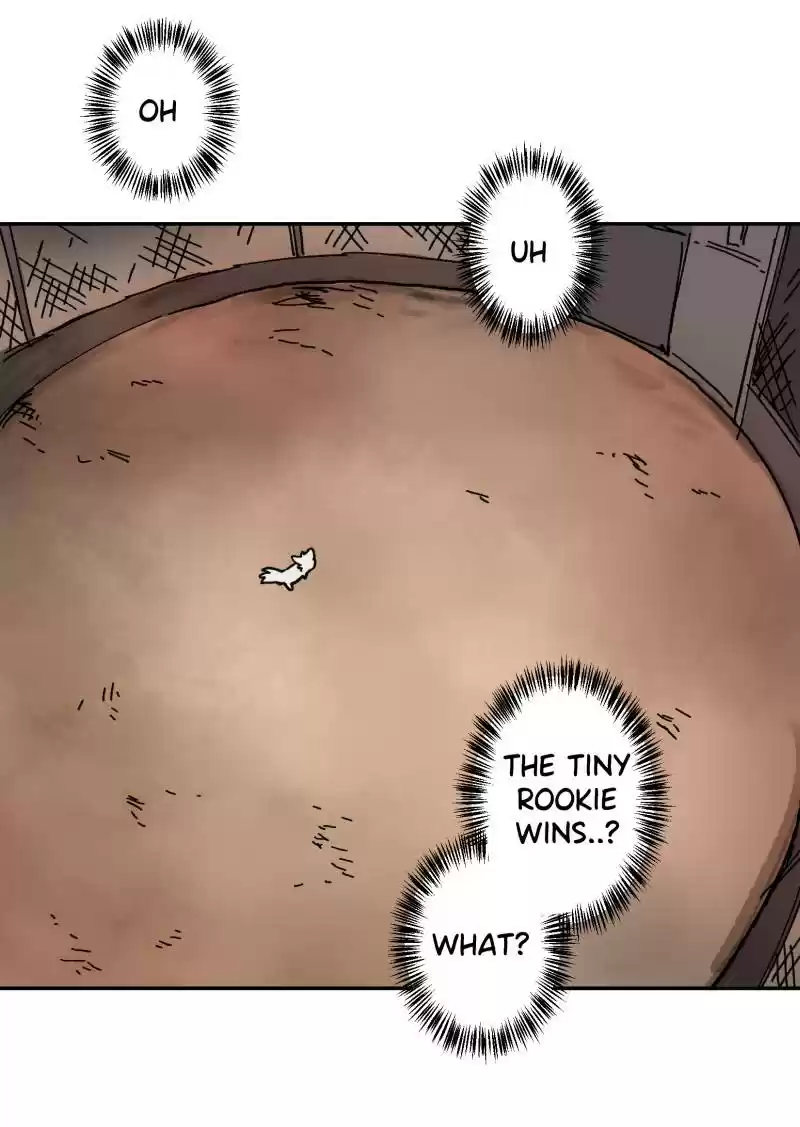 Read LUMINE Manga Online