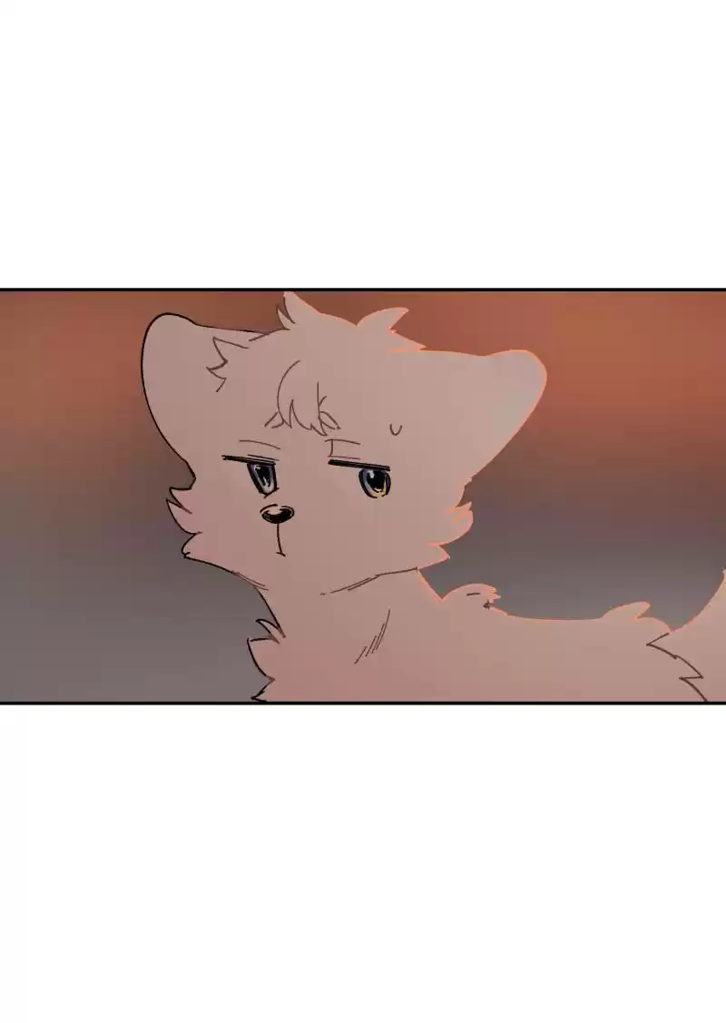 Read LUMINE Manga Online