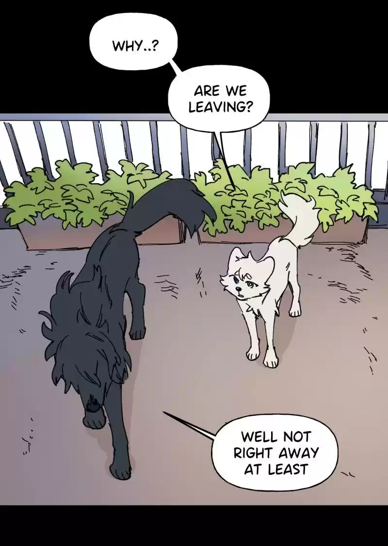 Read LUMINE Manga Online