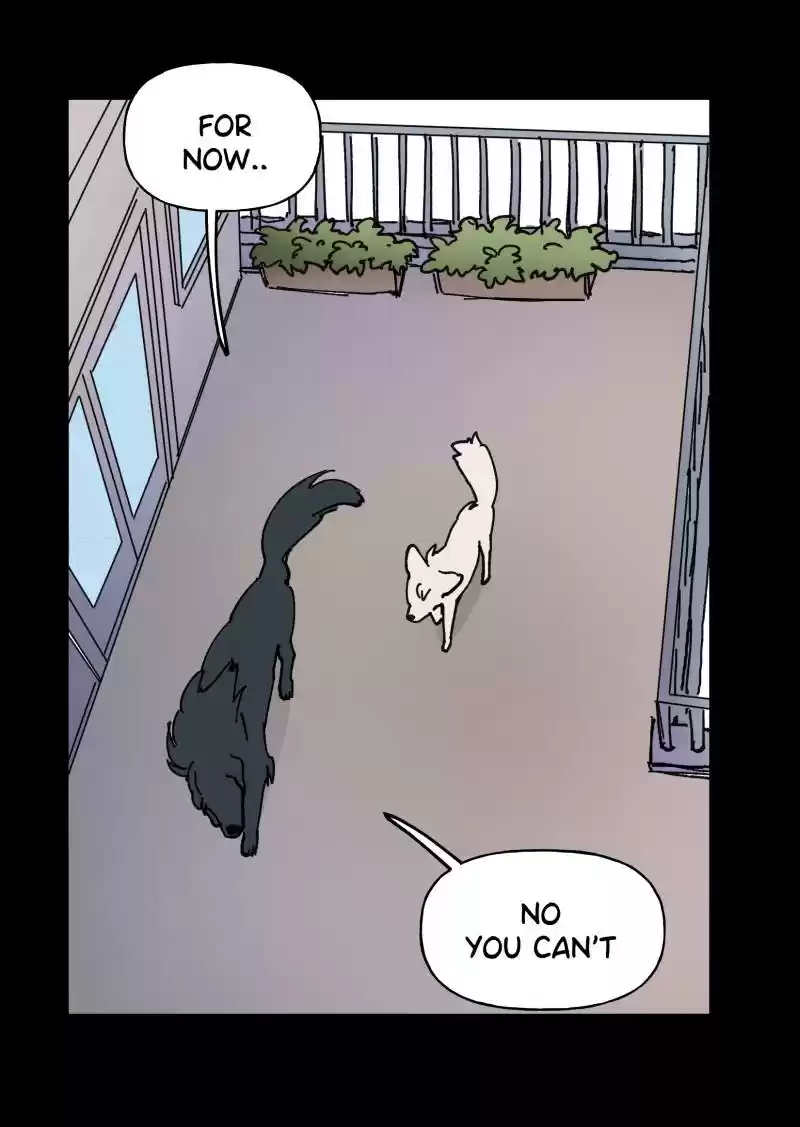 Read LUMINE Manga Online