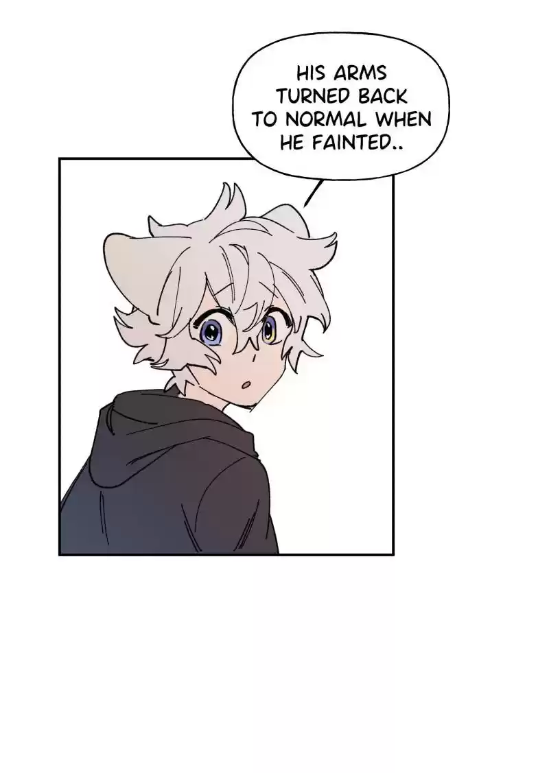 Read LUMINE Manga Online