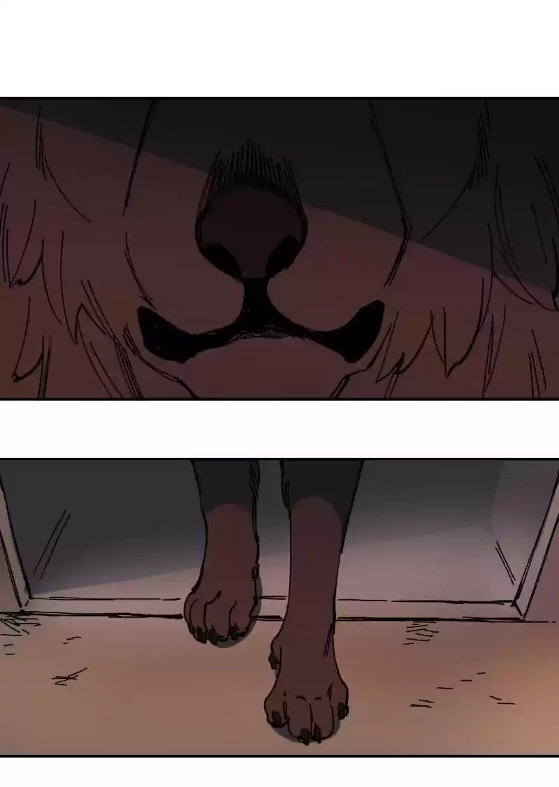 Read LUMINE Manga Online