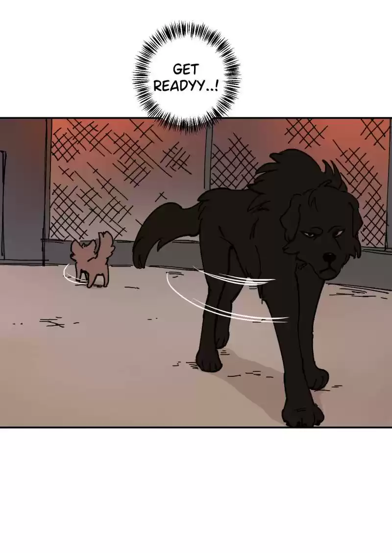 Read LUMINE Manga Online