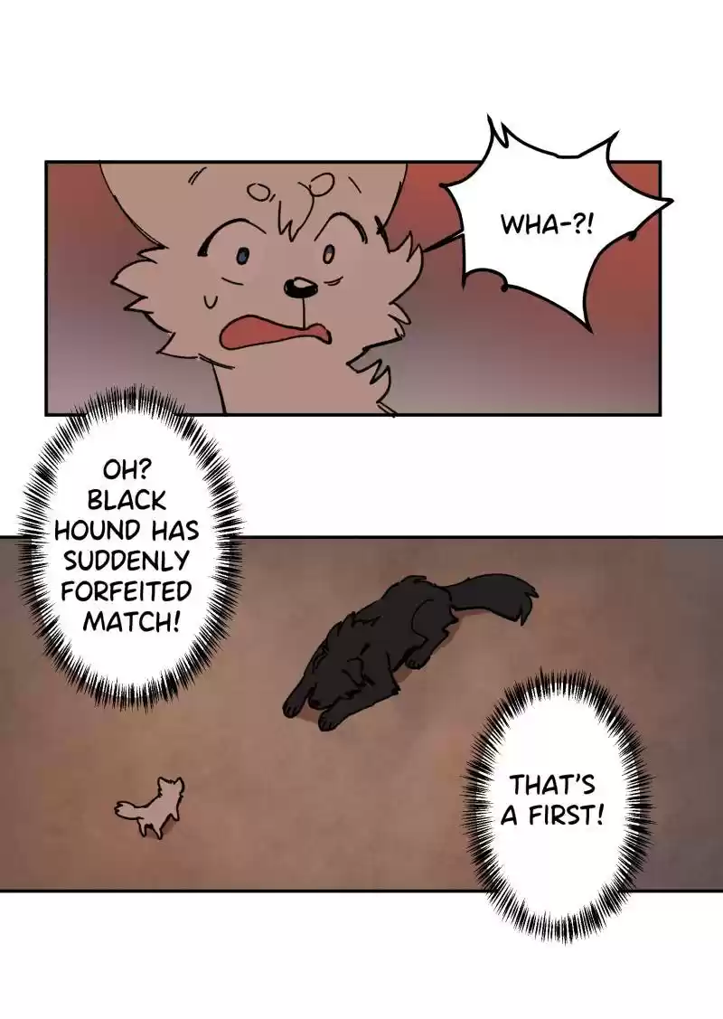 Read LUMINE Manga Online