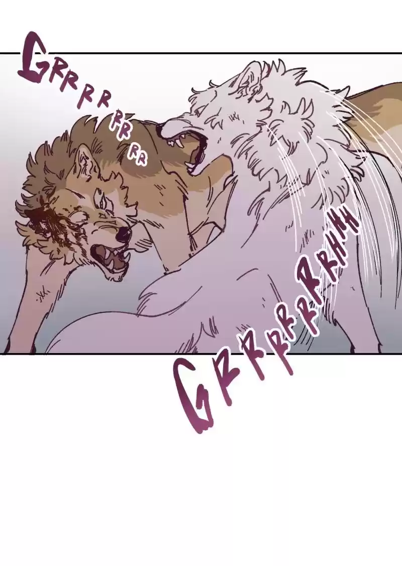 Read LUMINE Manga Online