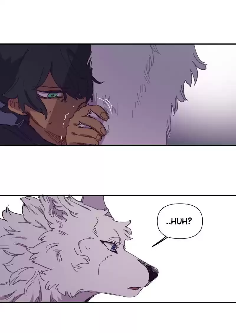 Read LUMINE Manga Online